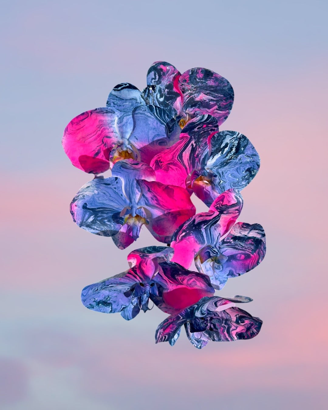 VALENTINES 24 - Pink Haze