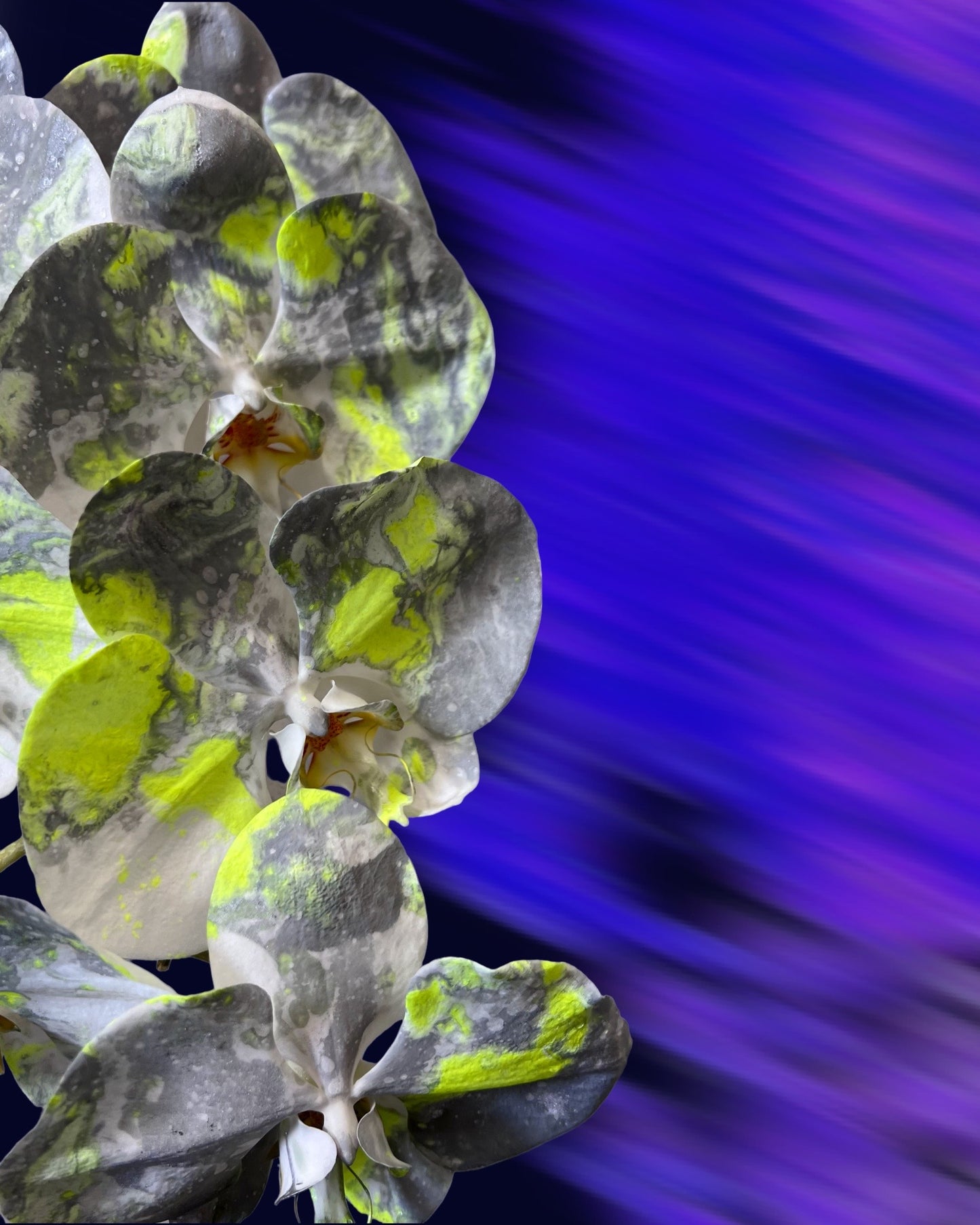 HOLIDAY 25 - Alternative Pantone