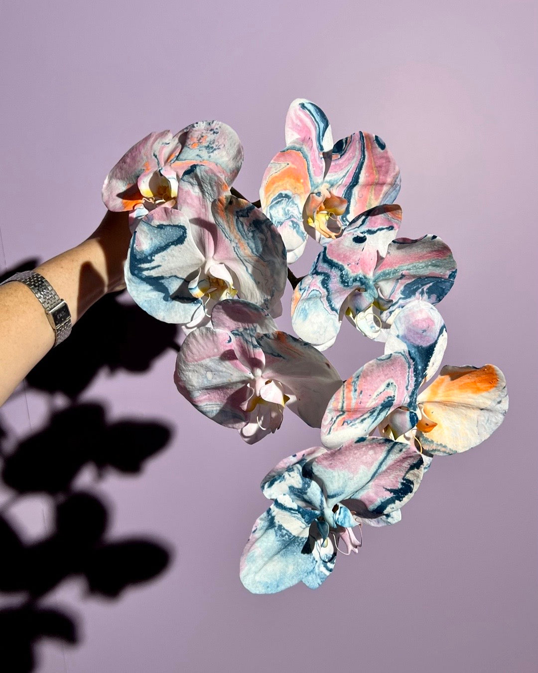 DROP MELB-01 - AFxFAZEEK MOTHER’S DAY pre order