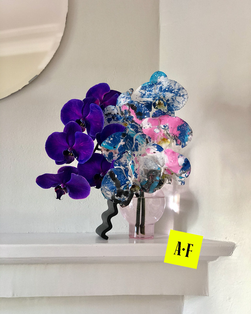 Acid Phalaenopsis - Single Stem - 1AD42-SINATRA