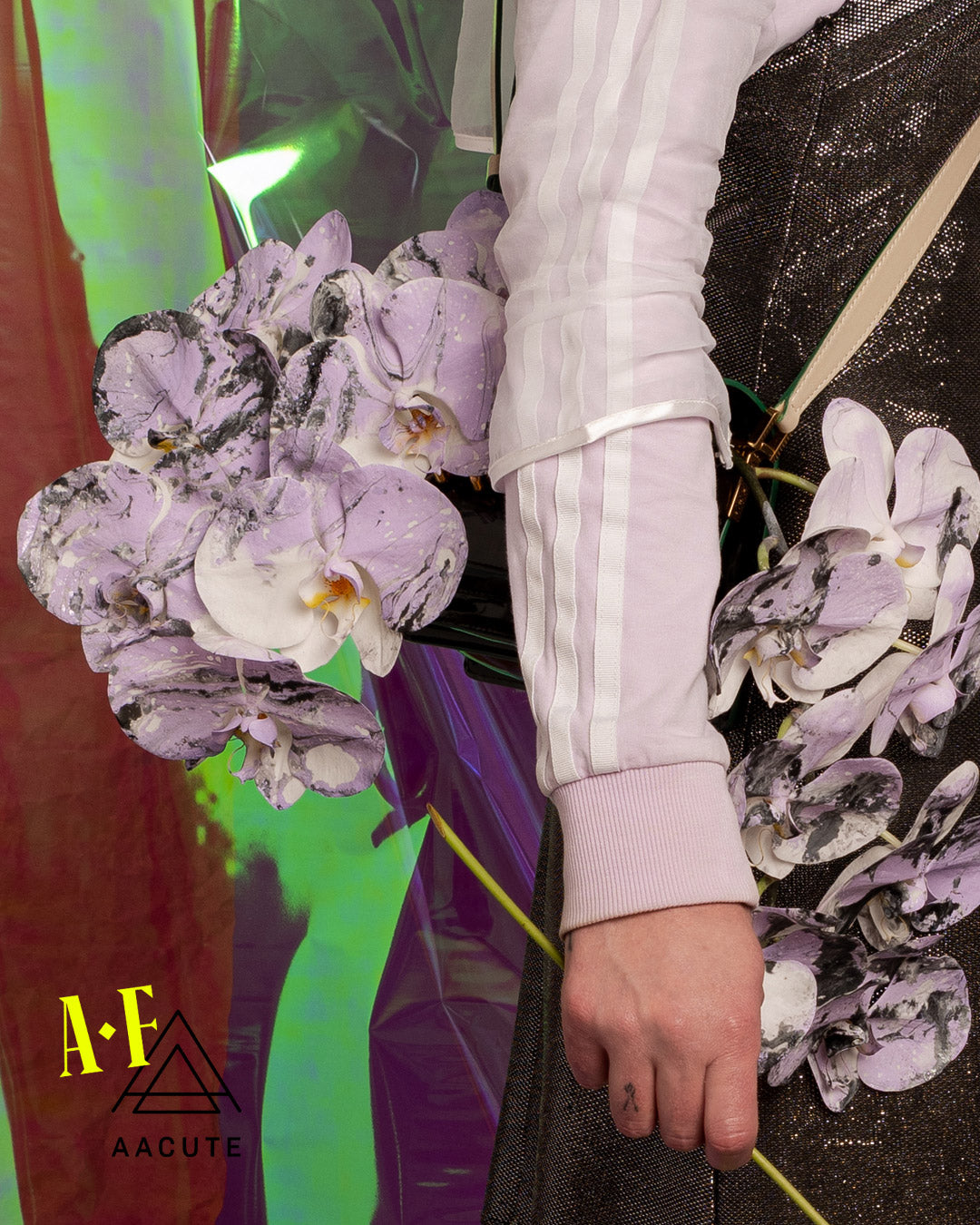 AF x AACUTE - BLACK/LILAC