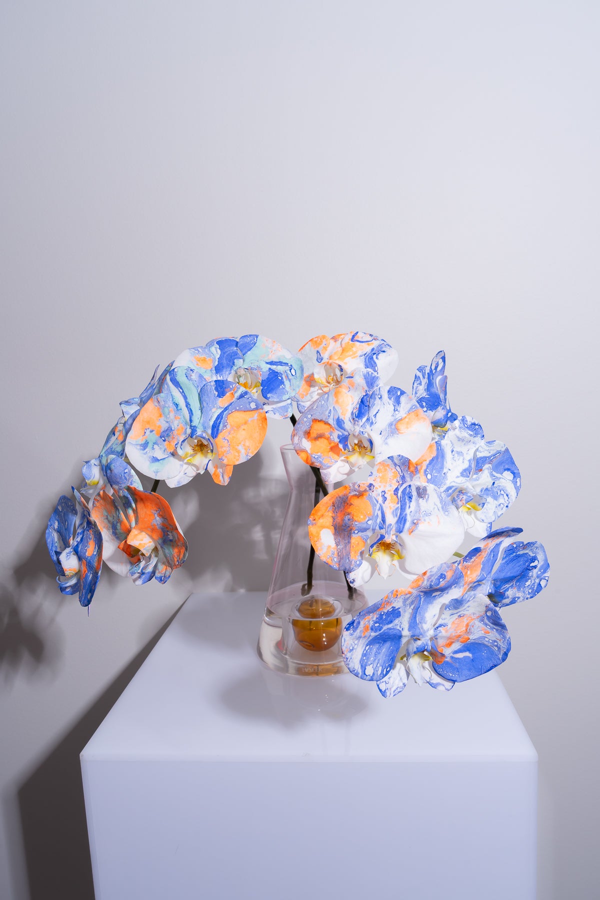 DROP SYD-05 - CERULEAN