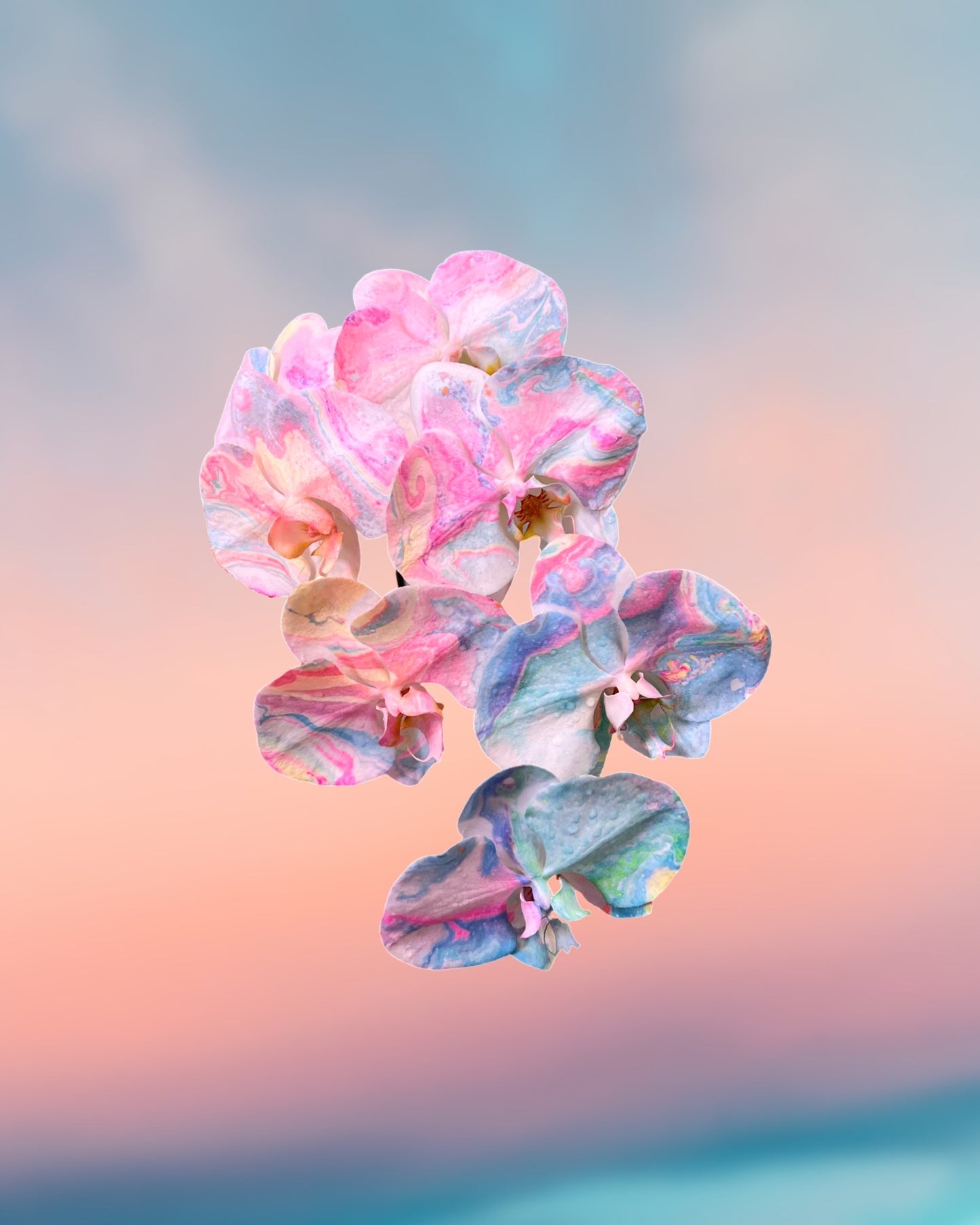 VALENTINES DROP - SWEETIE DARLING