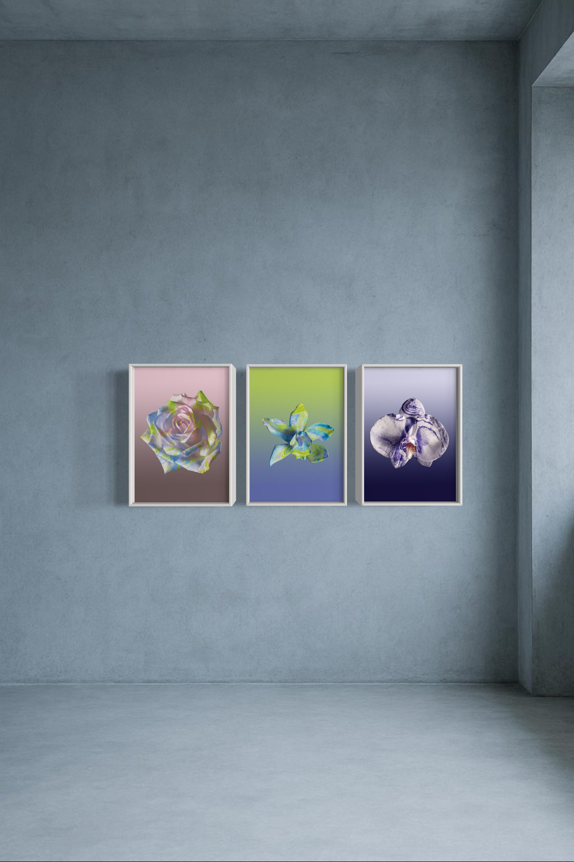 FLOWER SPECIMEN Fine Art Print - Blue Green Cymbidium