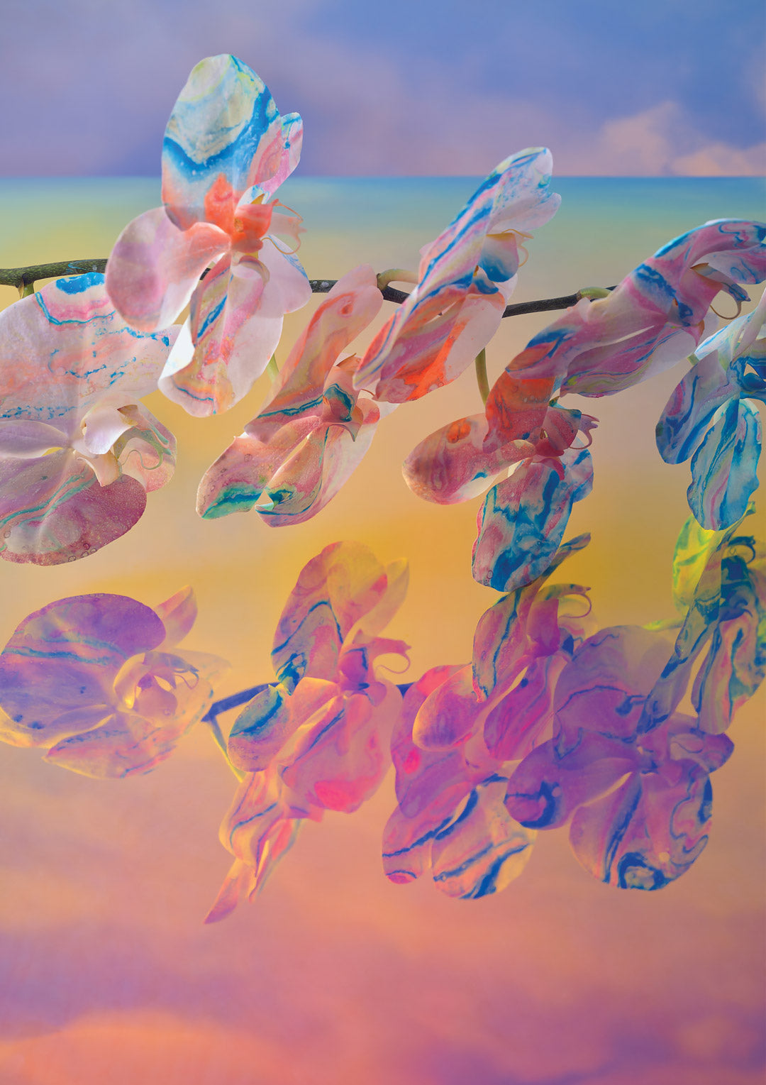 In The Clouds Fine Art Print - Horizontal Orchid