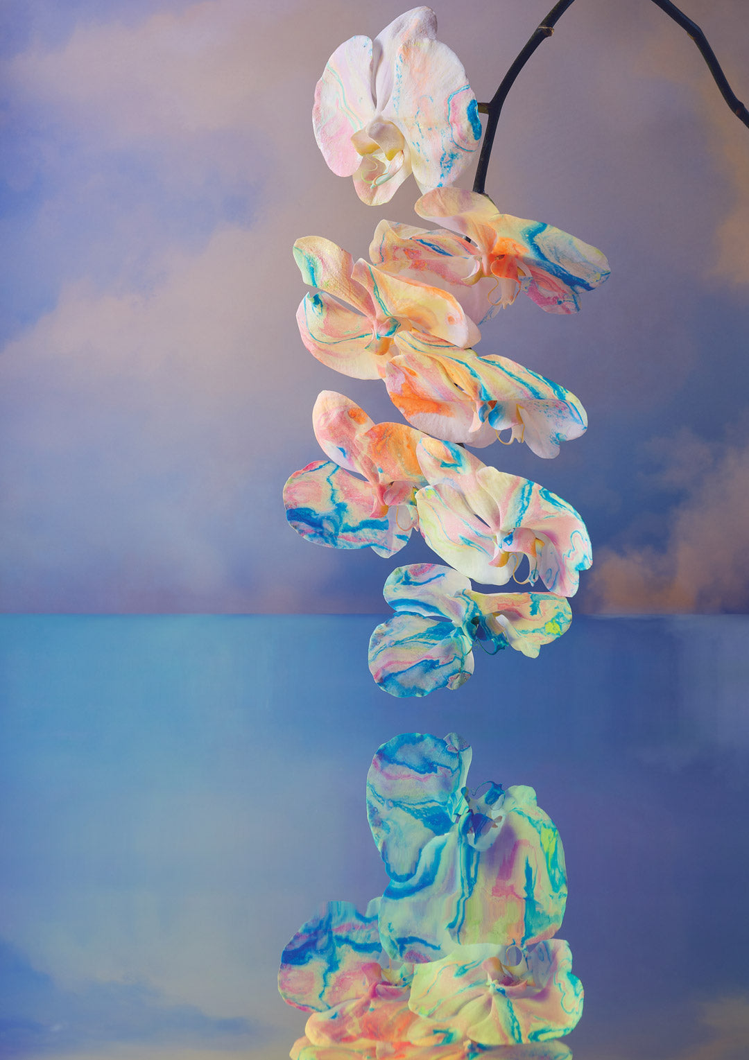 In The Clouds Fine Art Print - Vertical Orchid