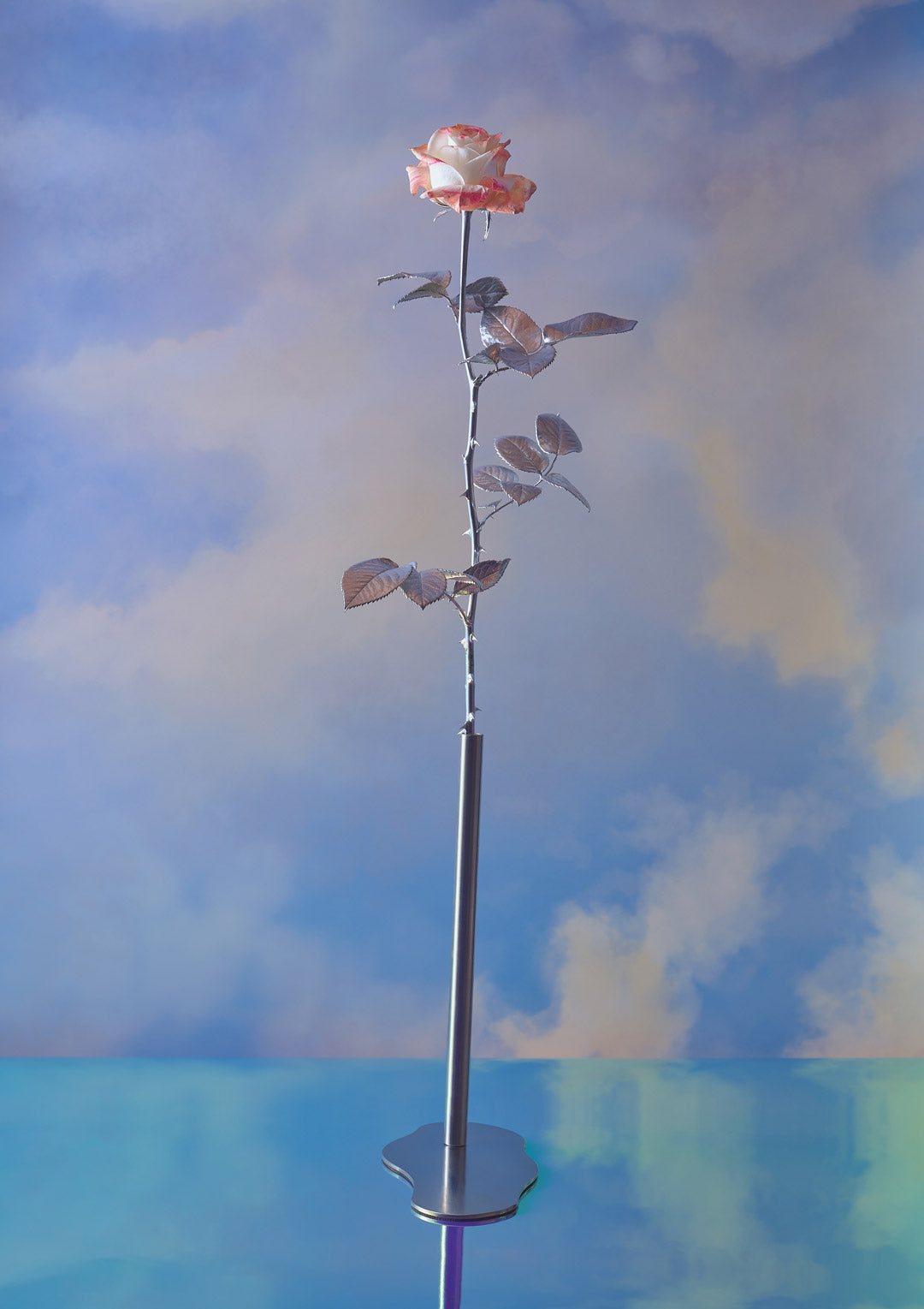 In The Clouds Fine Art Print - Single Rose Stem