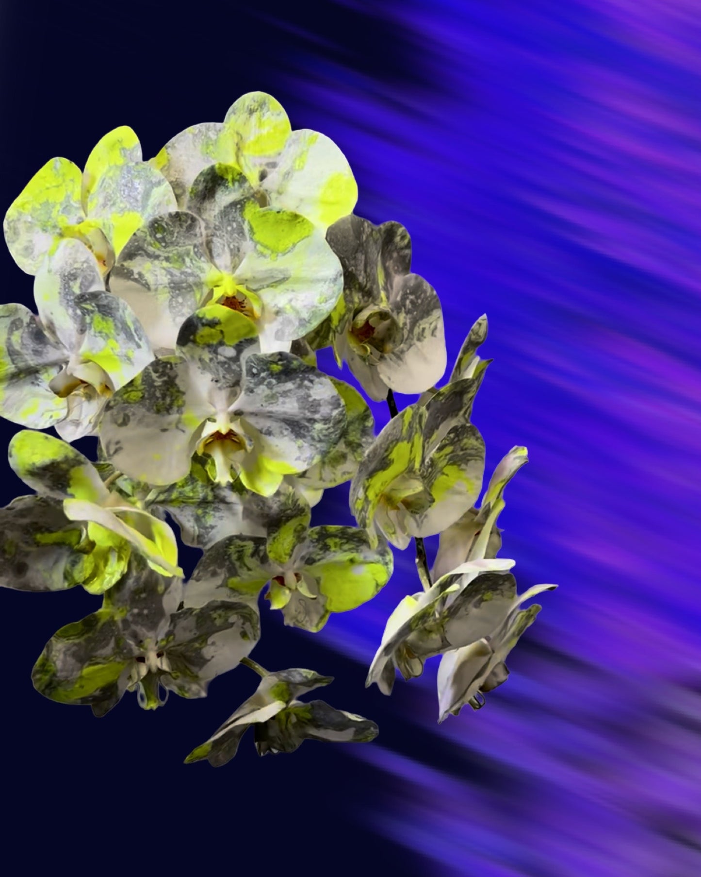 HOLIDAY 25 - Alternative Pantone