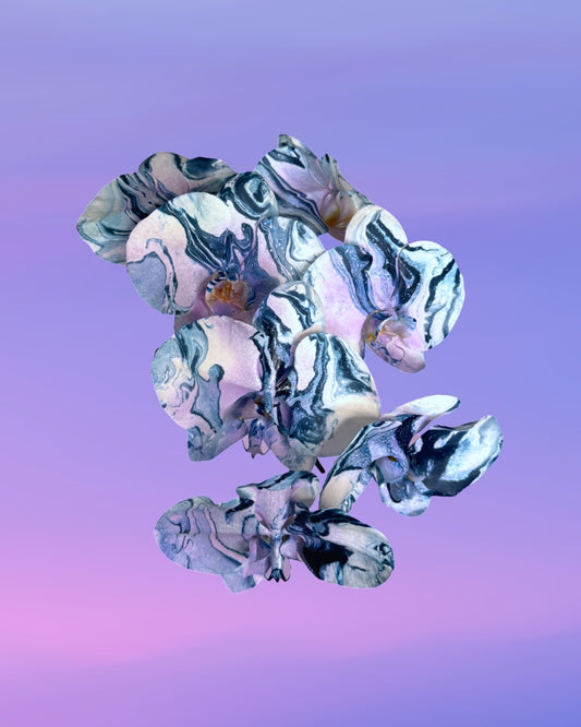WINTER 25 - Ice Sculpture