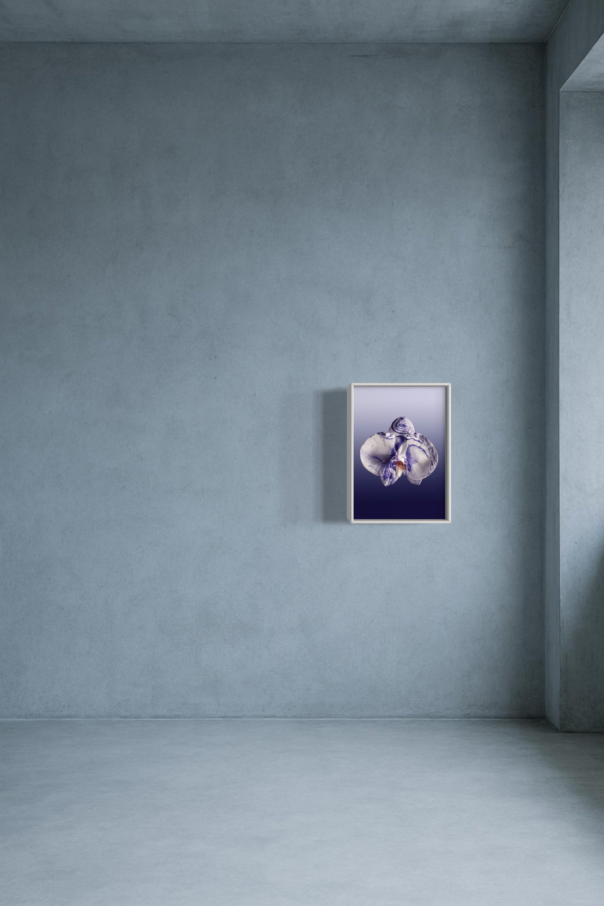 FLOWER SPECIMEN Fine Art Print - Purple Orchid