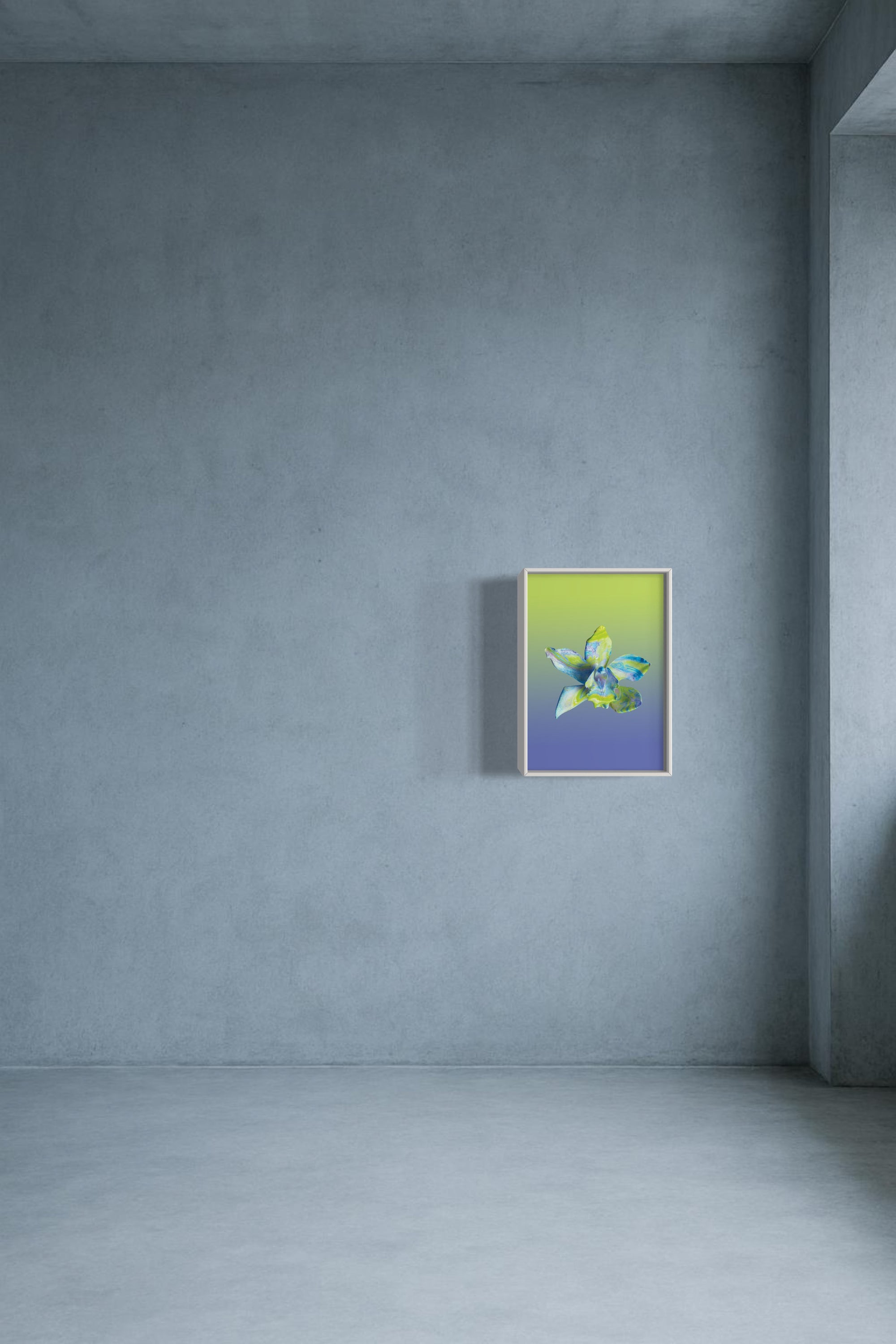 FLOWER SPECIMEN Fine Art Print - Blue Green Cymbidium