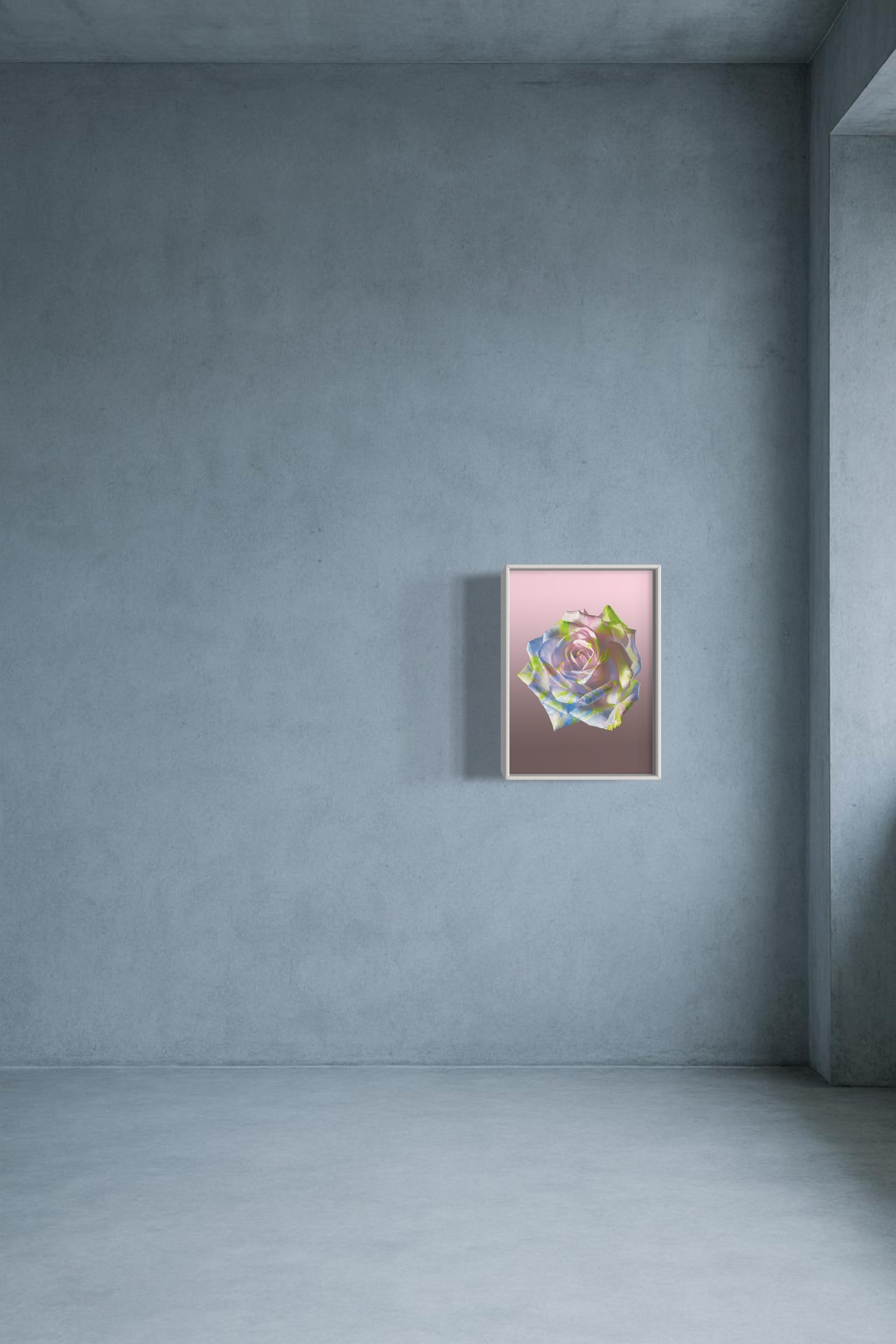 FLOWER SPECIMEN Fine Art Print - Pastel Rose