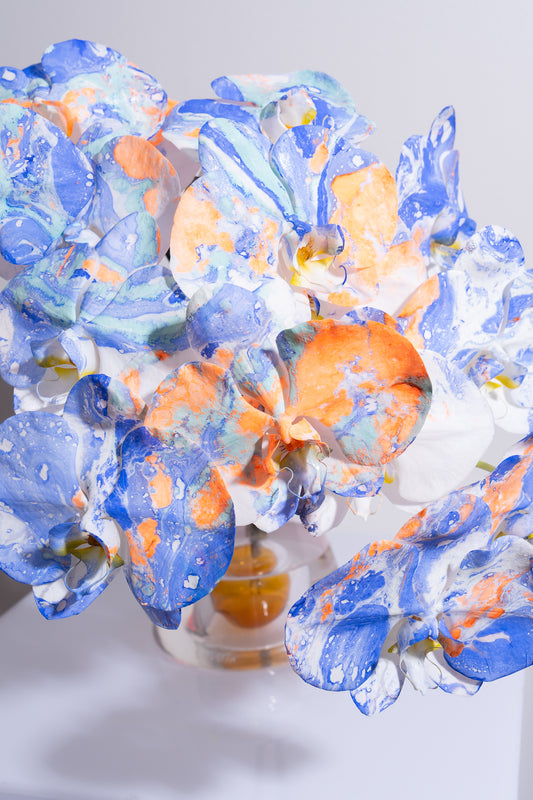 DROP SYD-05 - CERULEAN