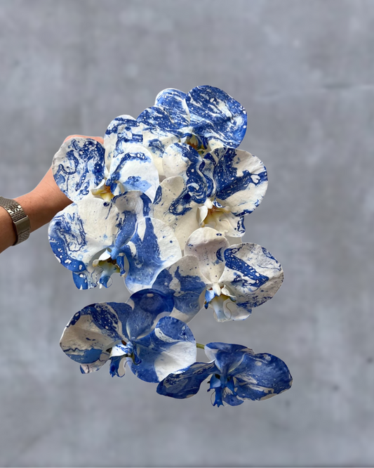 DROP SYD-14 - AFxFAZEEK pre order