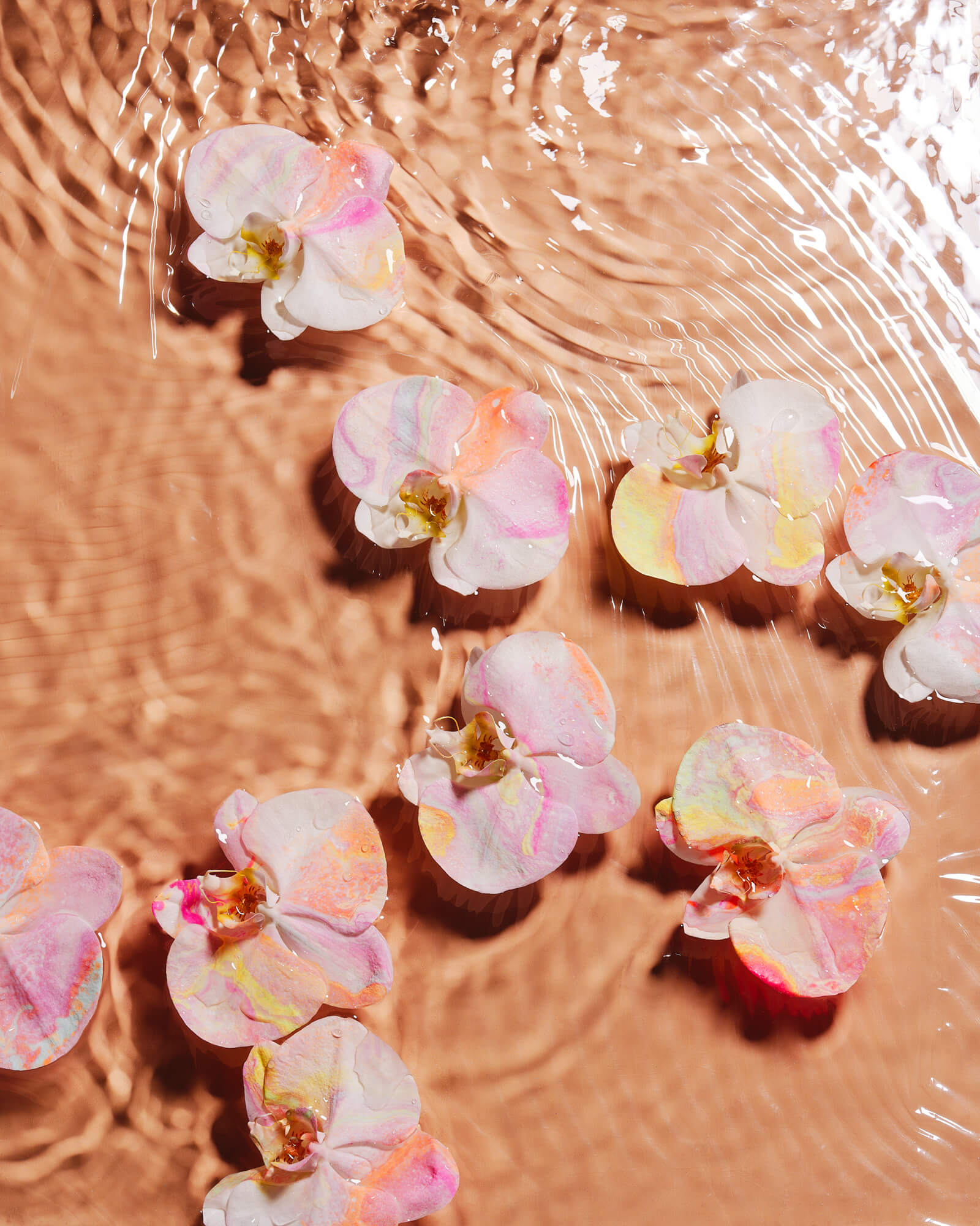 AQUA : AMPHORA TERRA AF Fine Art Print