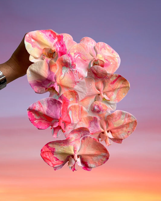 DROP SYD-12 - MOTHER'S DAY