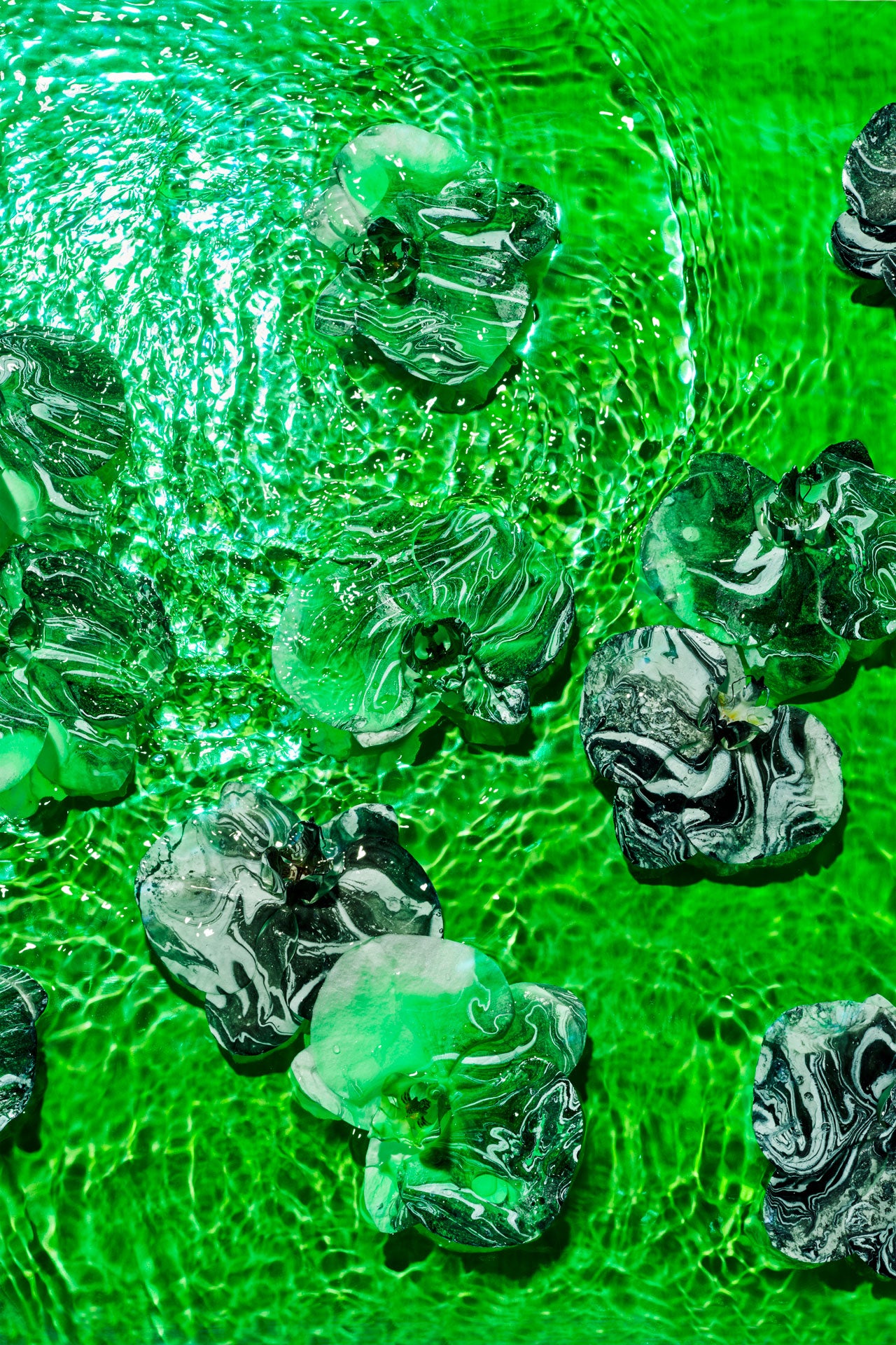 MONOCHROME GREEN : AF Fine Art Print