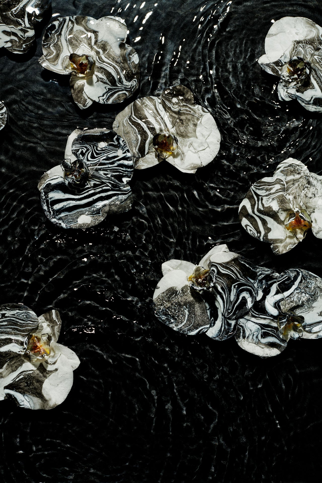 MONOCHROME BLACK : AF Fine Art Print